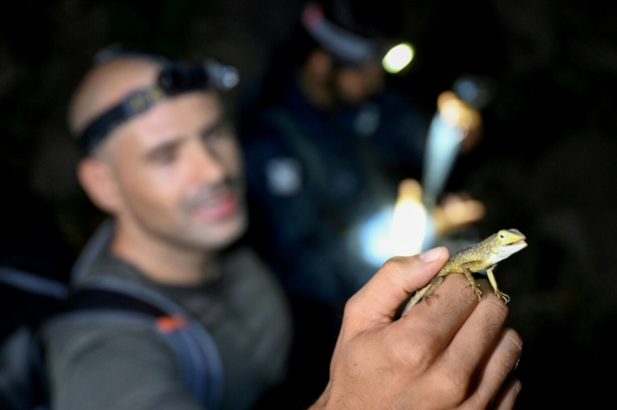 Pablo Sinovas, Cambodia country director at conservation NGO Fauna & Flora, with a lizardfound in a cave at Phnom Proek district in Battambang province