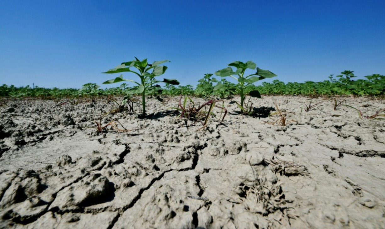 Claimants in a climate lawsuit hope Rome will be ordered to slash greenhouse-gas emissions