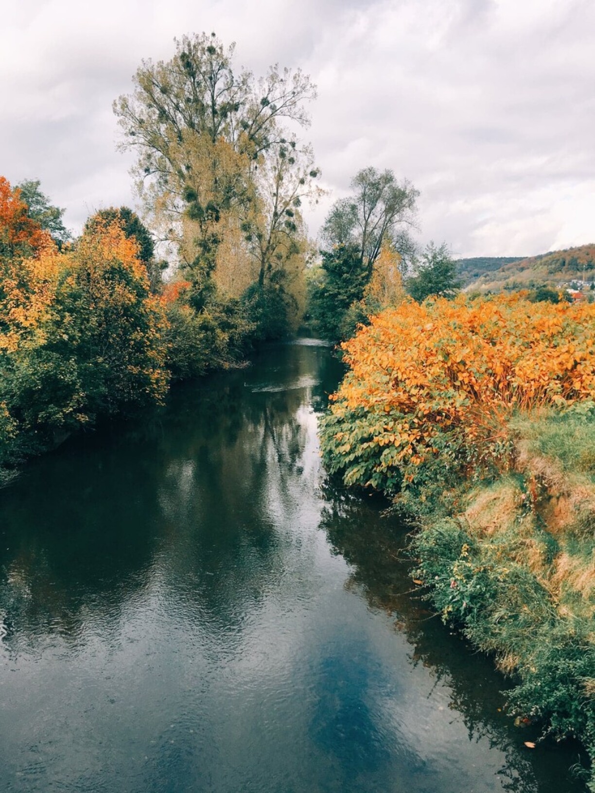 Along the Alzette river in autumn.