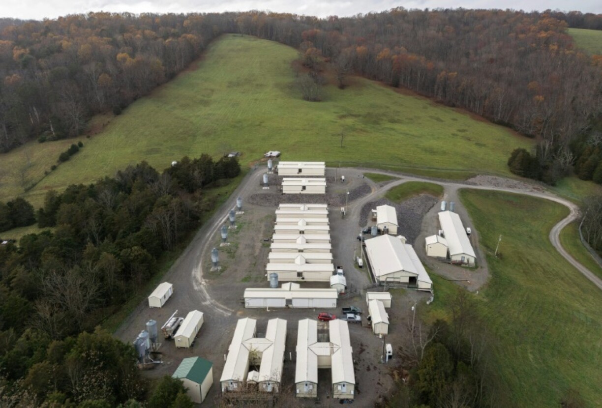 For more than 20 years, Revivicor, in Blacksburg, Virginia, has been conducting research to turn pig-to-human transplantation from science fiction to life-saving medical care