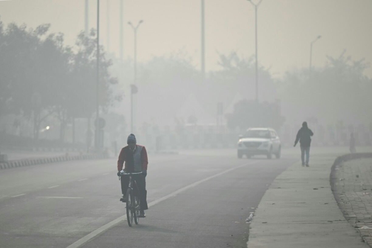 This year's ozone pollution was fuelled in part by record-breaking heatwaves and wildfires