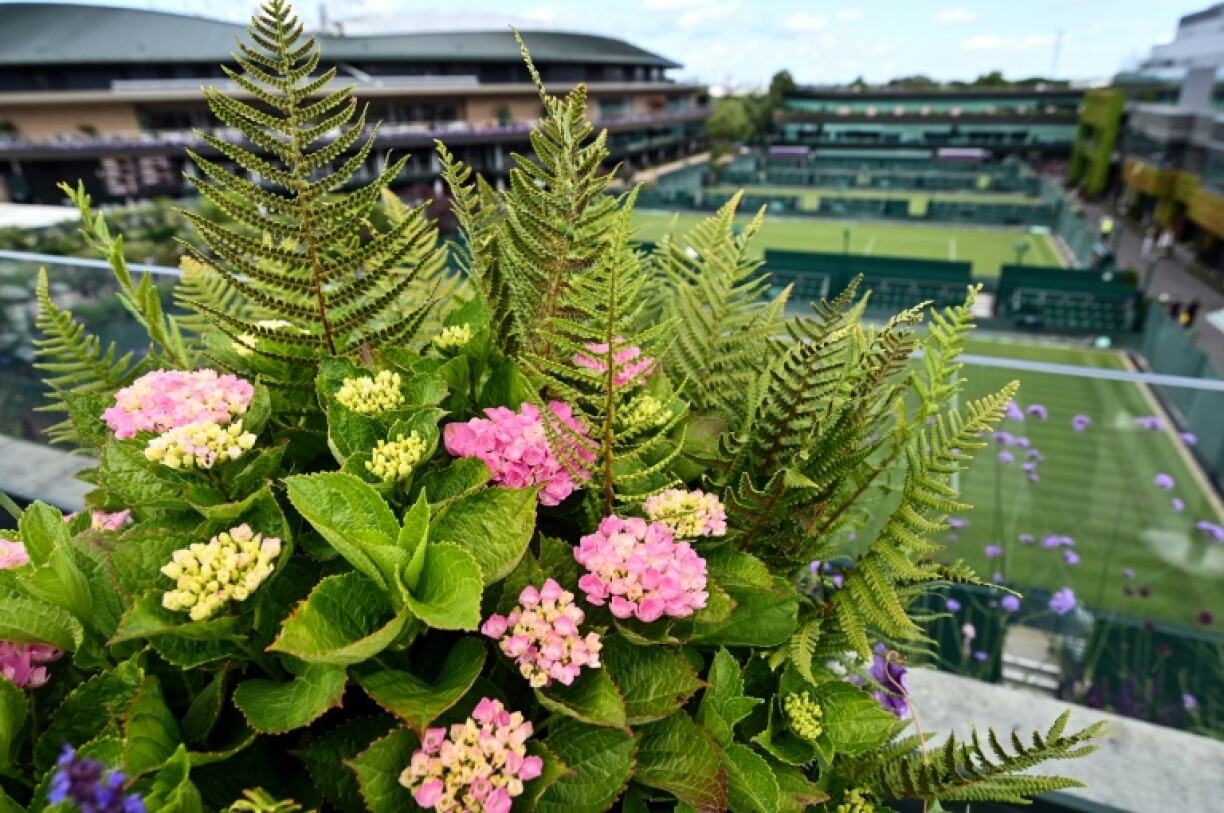 Wimbledon is renowned for its colourful hanging baskets, window boxes and herbaceous borders