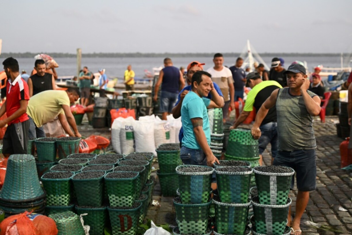 De l'açai vendu sur marché à Belem, dans le nord du Brésil, le 4 août 2023