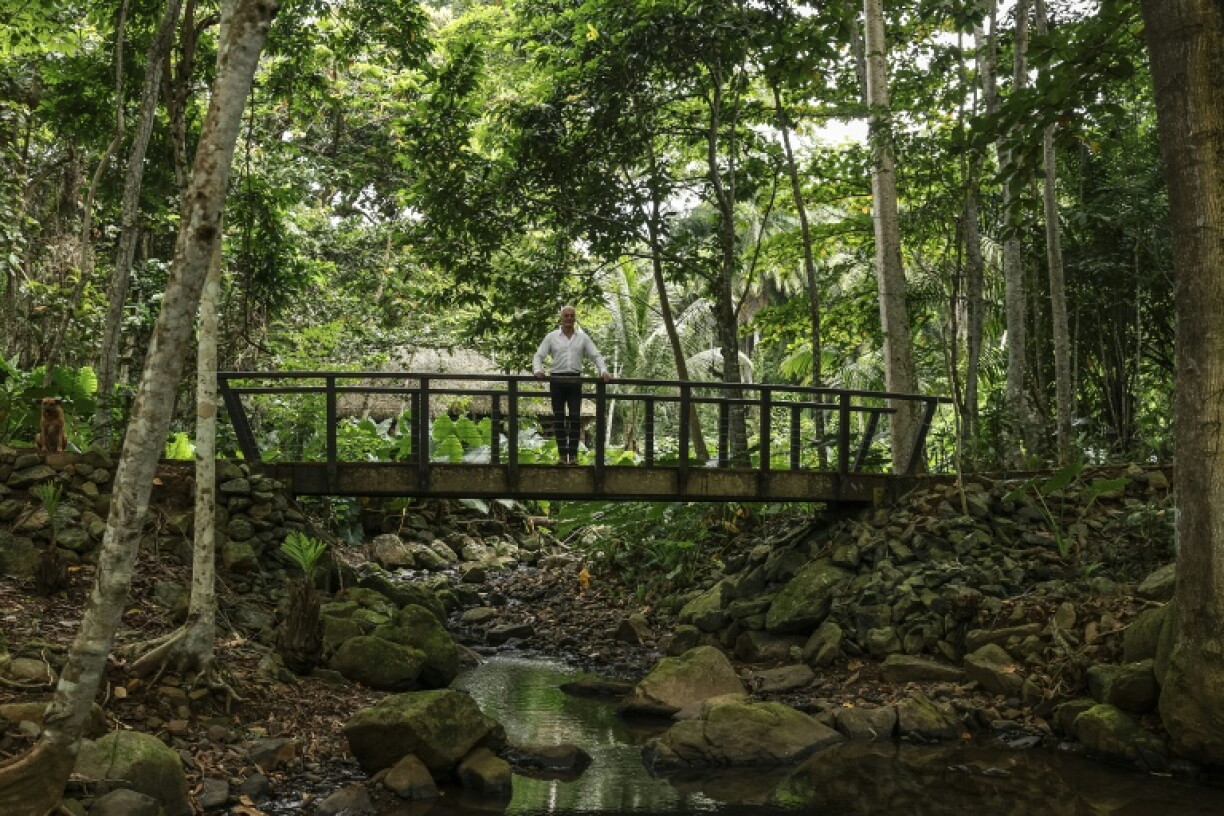 The dividend scheme is the idea of an entrepreneur who promotes exclusive ecotourism for the ultra-wealthy