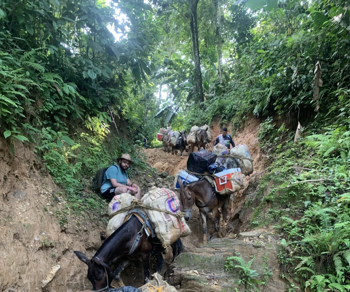 Donkeys are used to transport supplies to the various camps