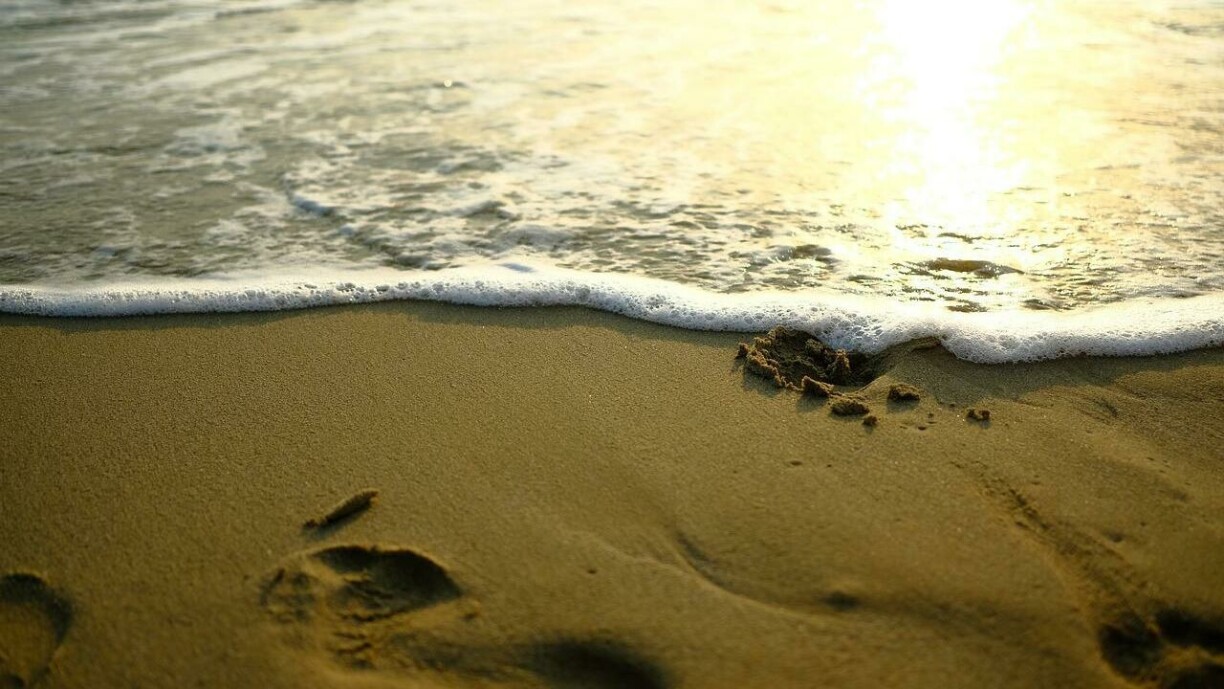 Image d'illustration