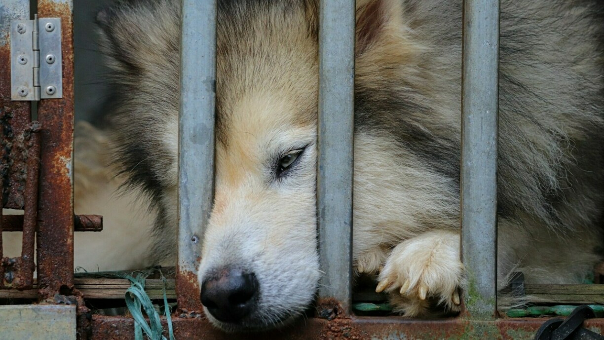 Image d'illustration