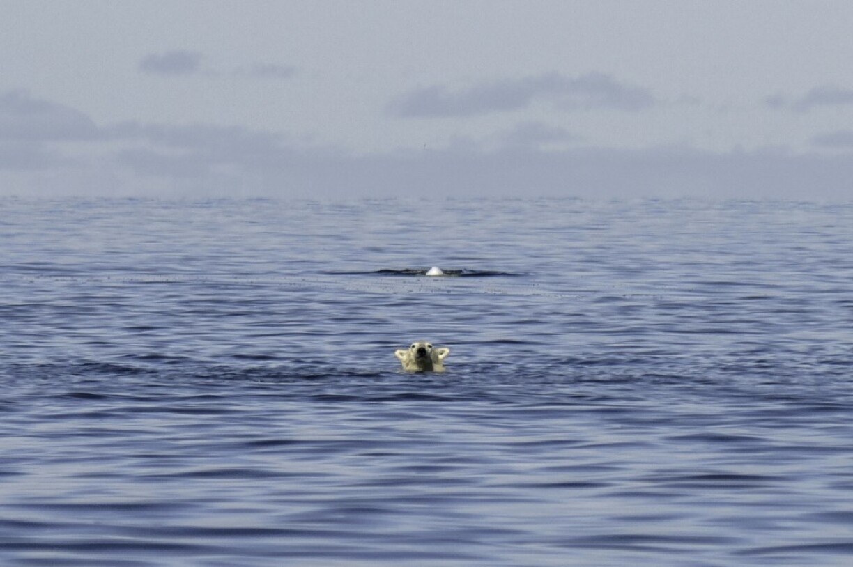 Talks are centred on a funding deal, particularly for developing countries