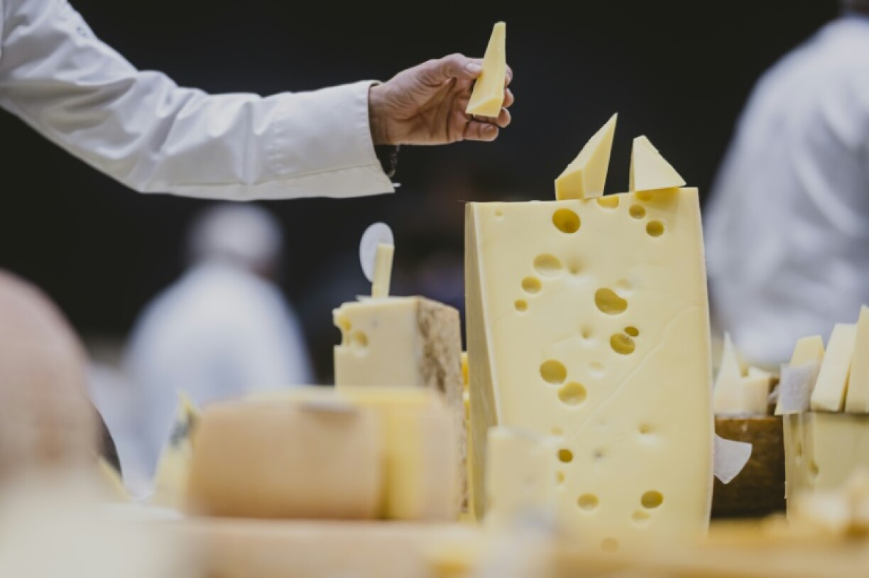 Judges assess various aspects of the cheeses such as the appearance of the rind, the aroma and the texture