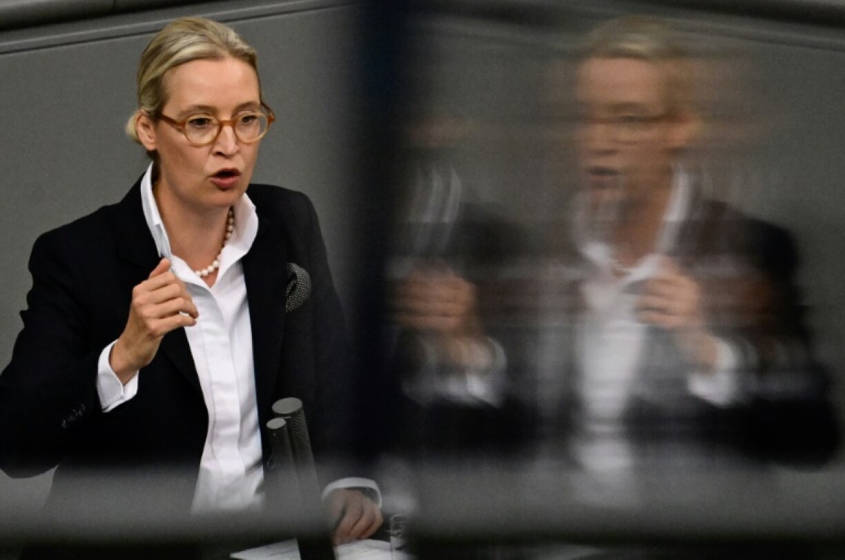 The co-leader of the far-right Alternative for Germany (AfD) party Alice Weidel addresses the Bundestag