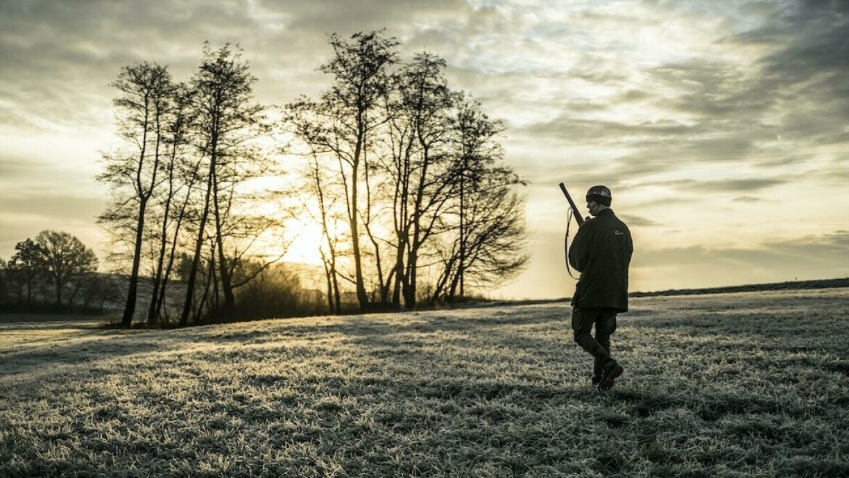 Un chasseur découvre des ossements humains à Dinant