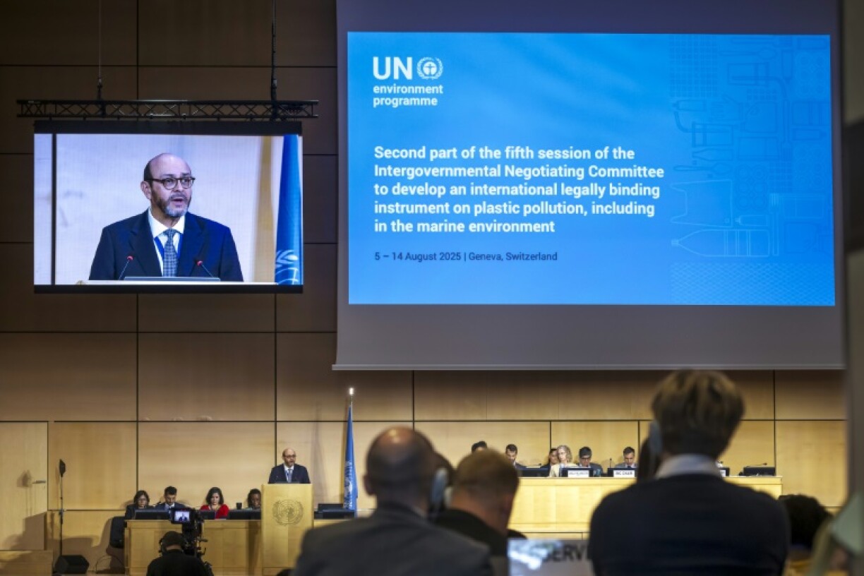 The plastic pollution treaty talks process is being chaired by Ecuadoran ambassador Luis Vayas Valdivieso