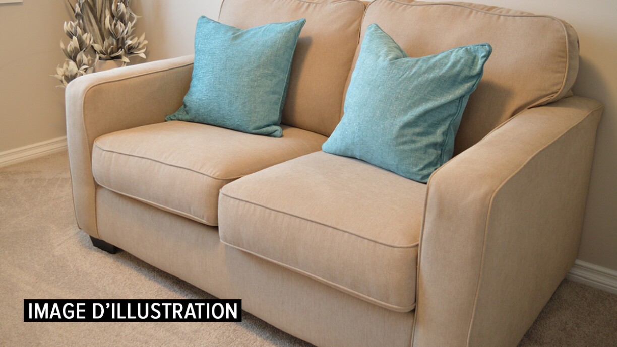 Elle découvre 36.000 dollars dans un canapé récupéré sur internet: voici ce qu'elle en a fait (vidéo)