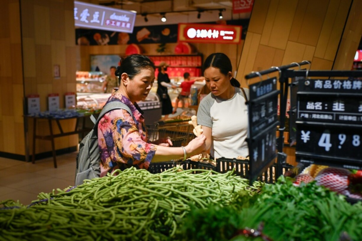 Consumer prices in China rose slightly in June after four months of declines but factory gate prices fell