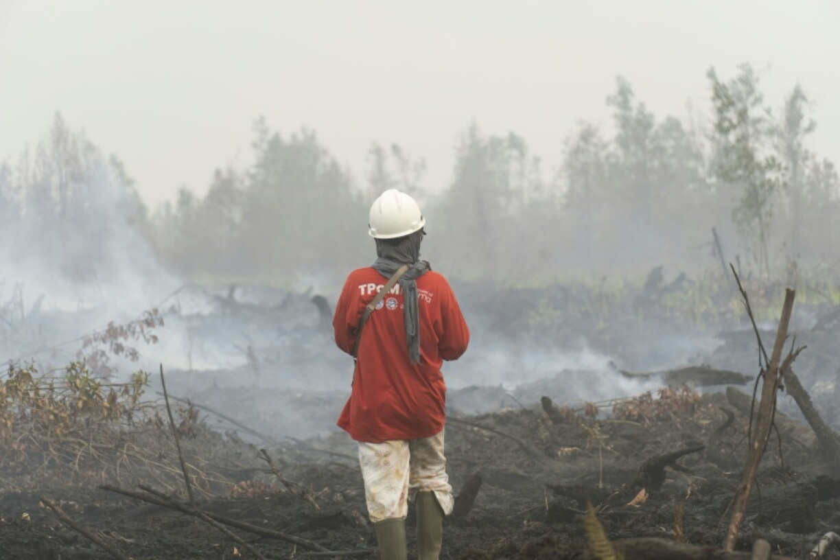 A volunteer firefighter looks at smouldering peatland in Benipis, Ketapang Regency, West Kalimantan
