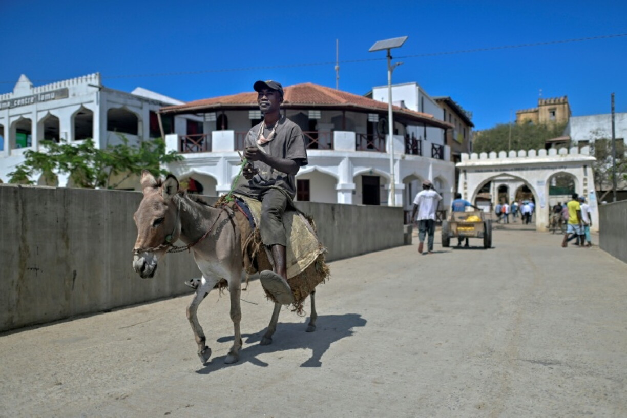 Much transport on Lamu happens by donkey
