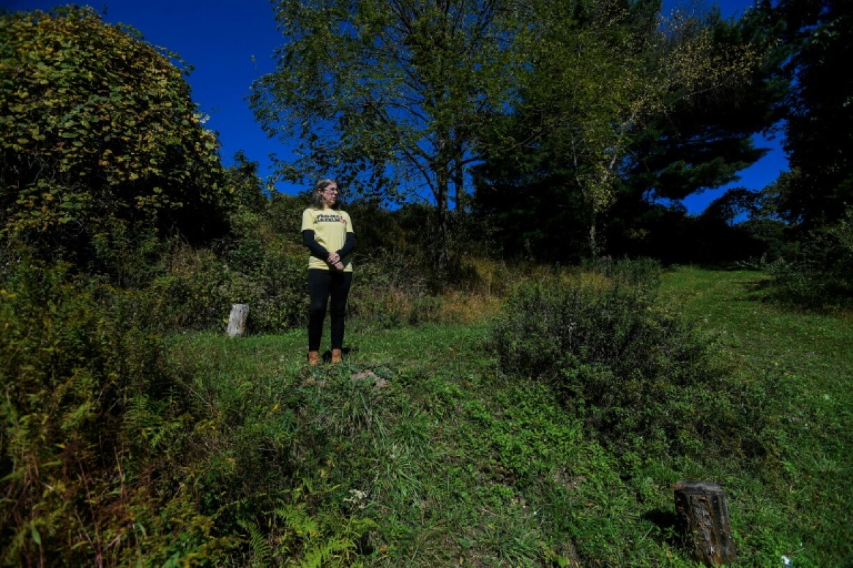 Part of Erika Cook's property near the proposed data center development is the target of an eminent domain proceeding that would seize her land for a huge transmission tower