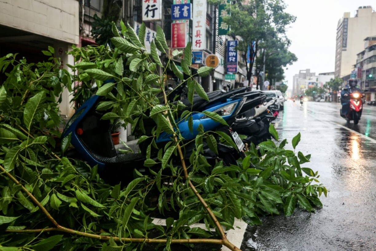 Fallen trees lie on motorcycles following strong winds brought by Typhoon Podul in Kaohsiung, Taiwan