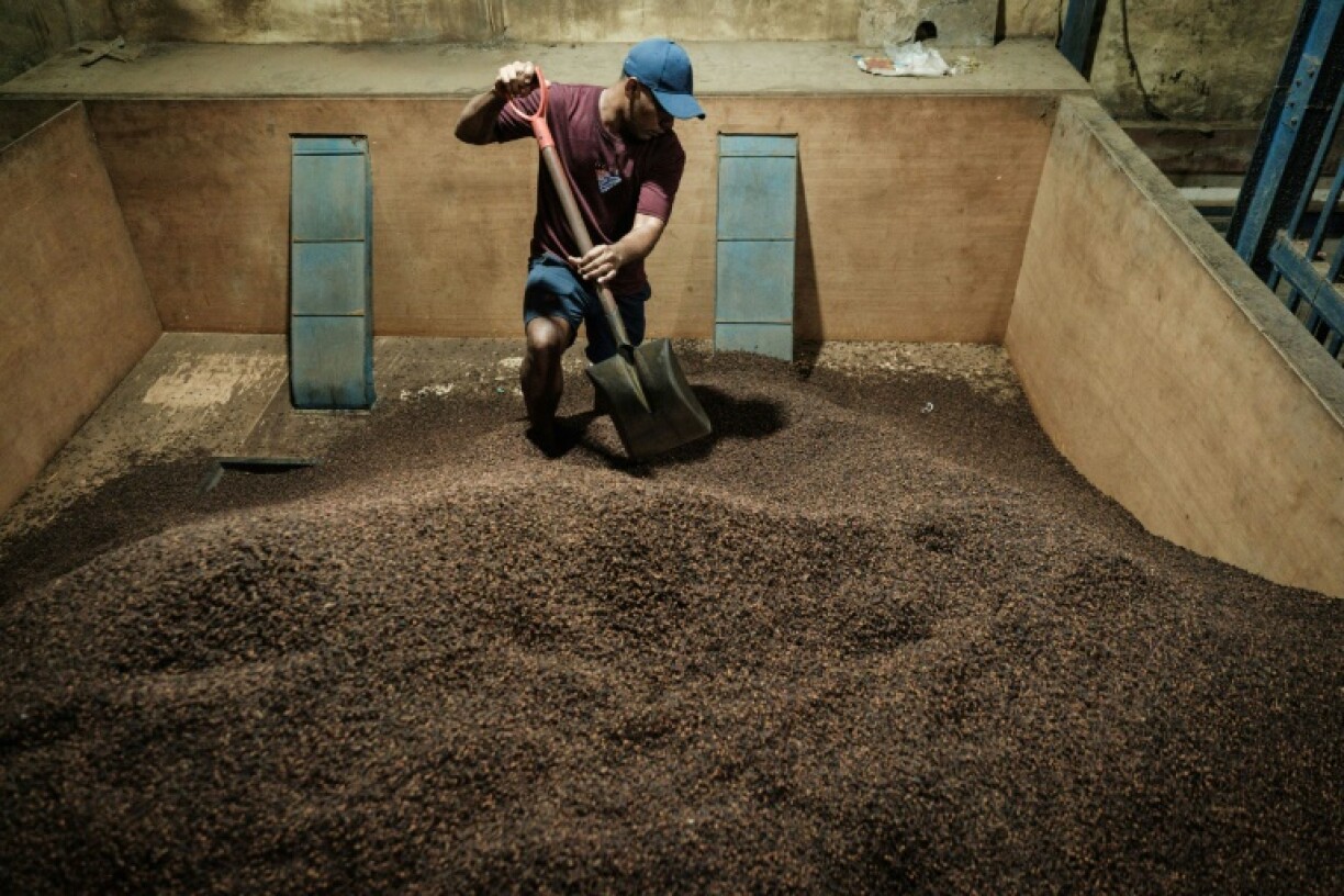A worker shovels cloves into a sifting machine to remove impurities at a warehouse in Ternate, North Maluku