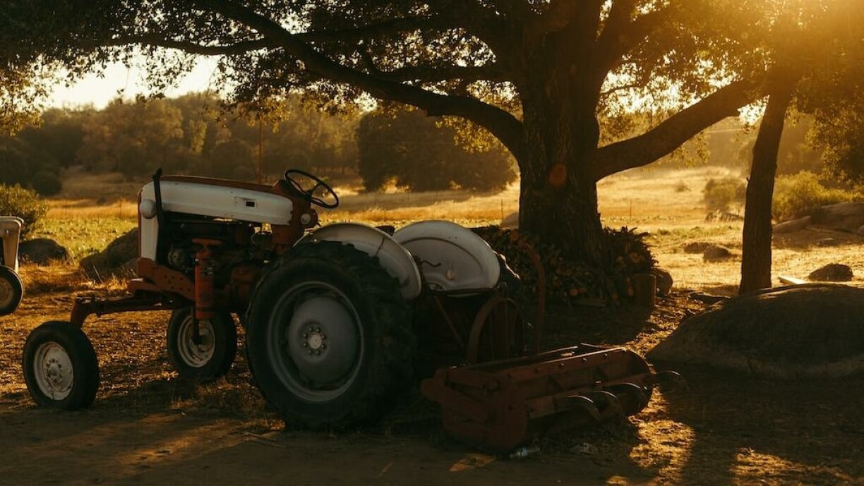 Image d'illustration