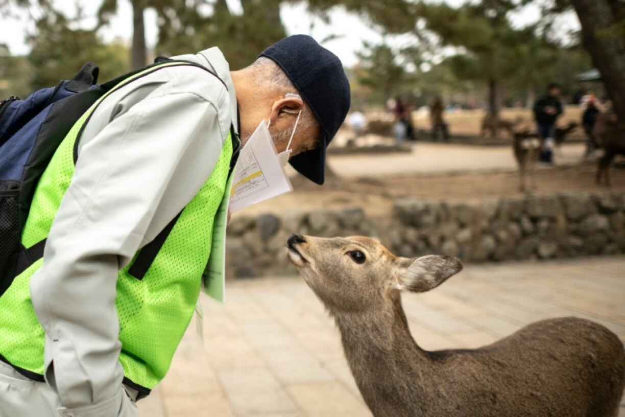 Public bins are scarce in Japan and visitors are encouraged to take their trash home