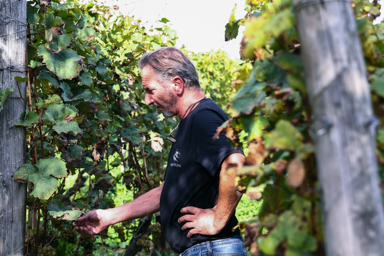 Le vigneron luxembourgeois Armand Schmit.