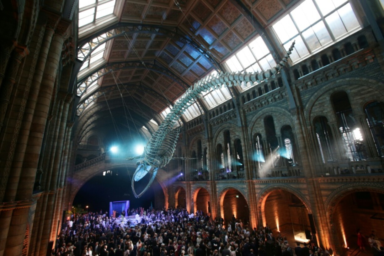 Last year, 7.1 million people visited London's Natural History Museum, featuring 'Hope' the blue whale