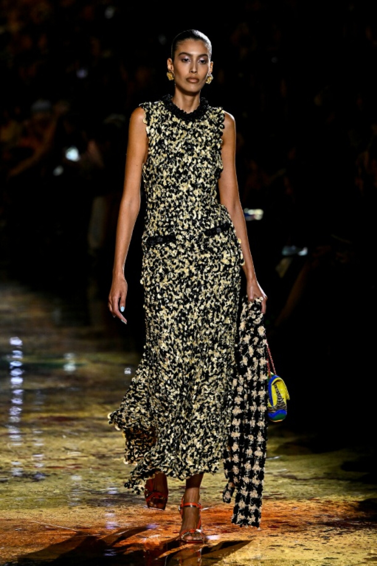 Chanel had offered a preview of the highly avian collection