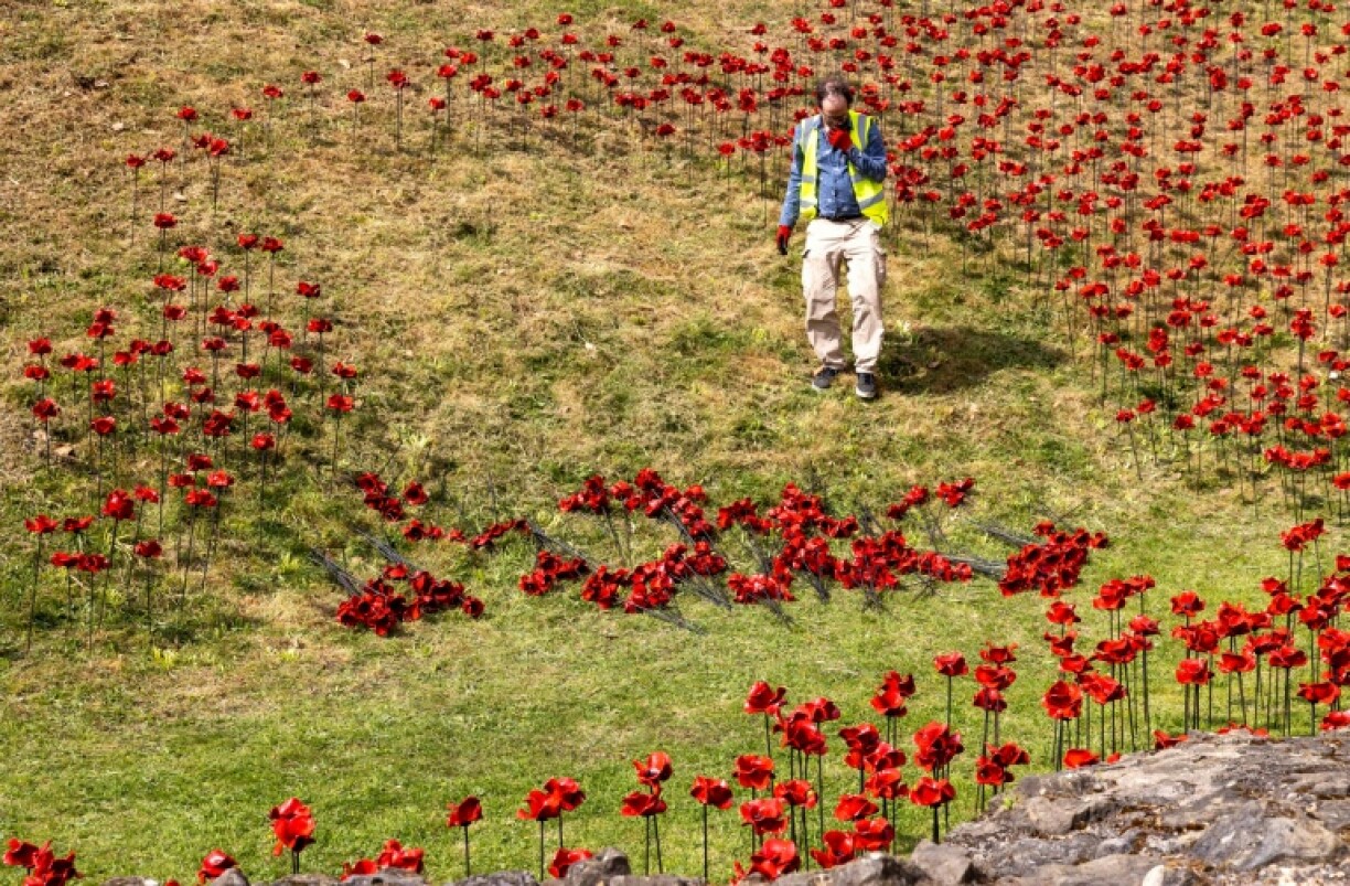 'Seeing them in such abundance just... demonstrates how many soldiers died for our freedom,' said volunteeer Amin