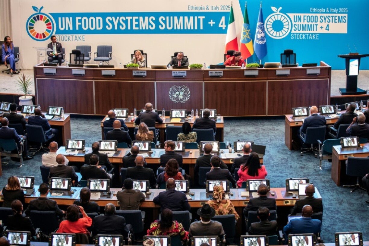 The UN Food Systems Summit called for action on hunger in Africa, Gaza and beyond