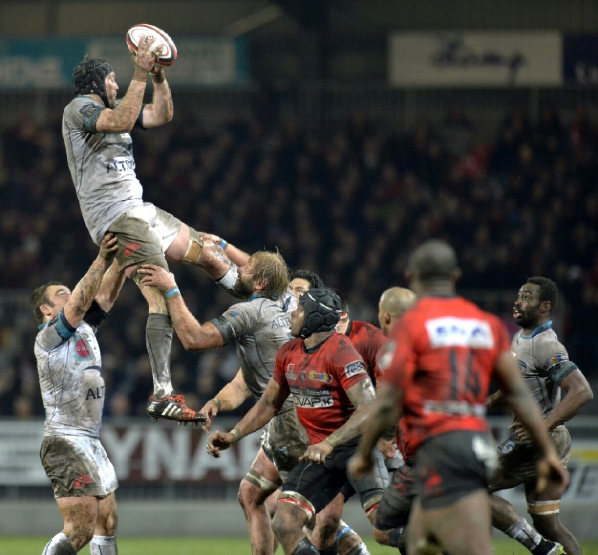 Former New Zealand lock Tom Donnelly (catching the ball) has been appointed an assistant coach with the Wallabies