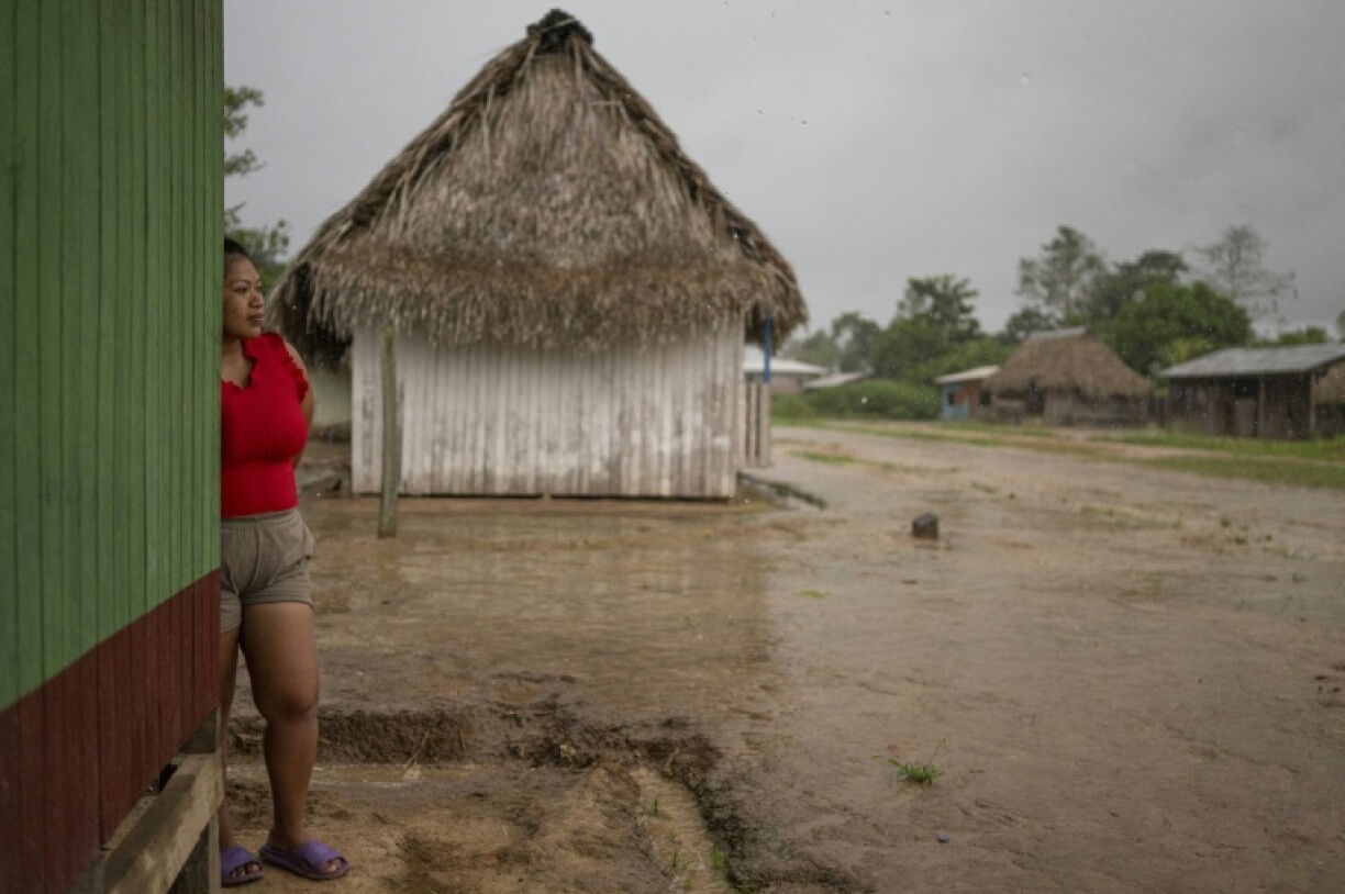 The Indigenous Shipibo-Konibo community in the Peruvian Amazon accuses the local Mennonite colony of occupying part of its territory and of illegal forest clearance