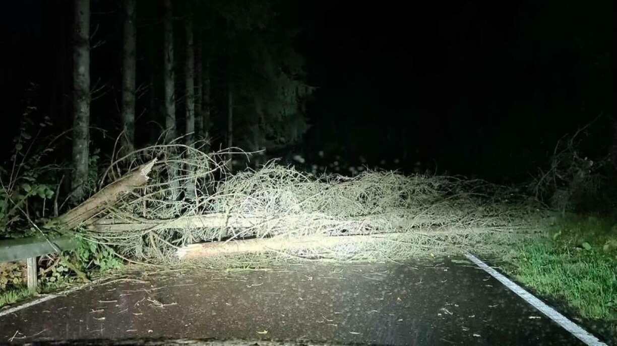 Une photo prise dans la nuit de mercredi à jeudi à Schimpach