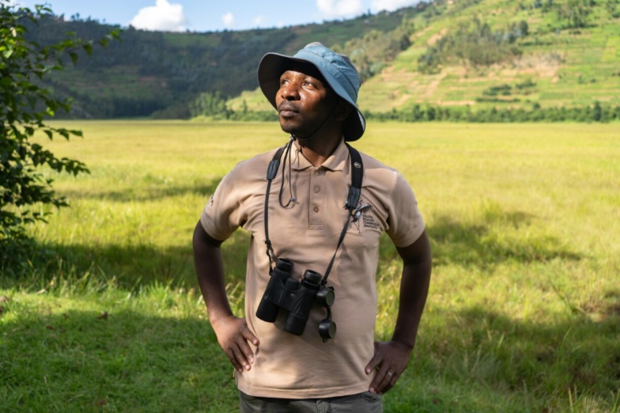 Olivier Nsengimana won the Whitley Fund for Nature Gold Award for his work to save the crane