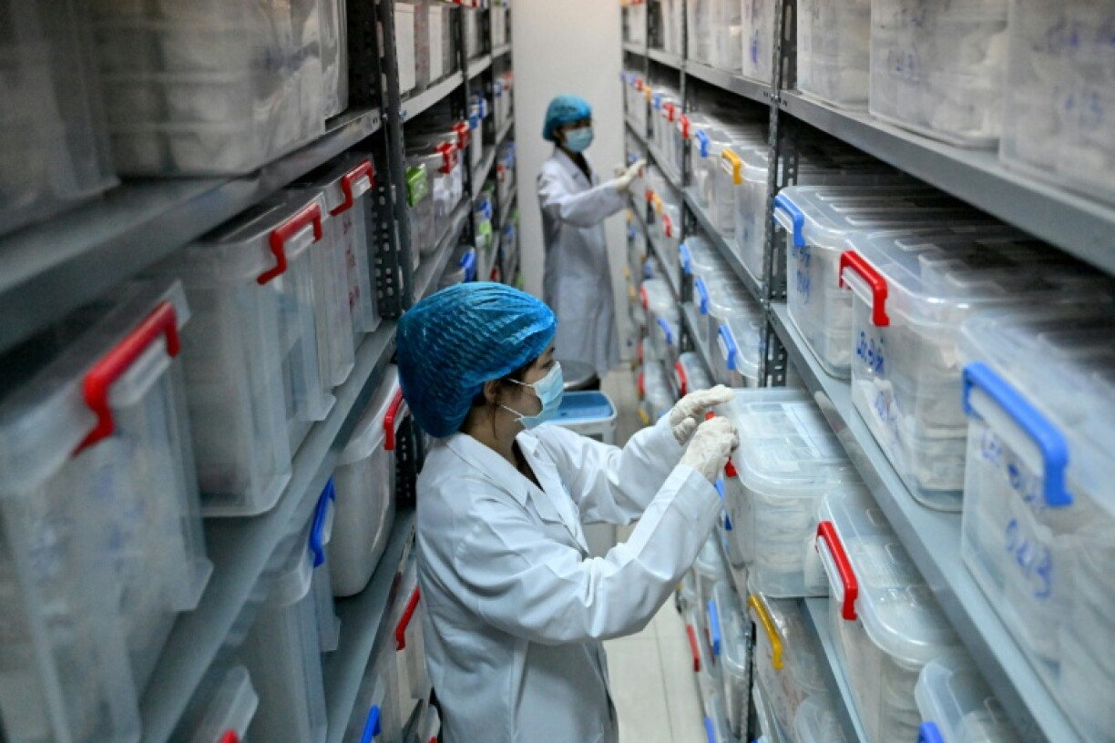 Staff members check boxes in the sample storage room for the remains of fallen soldiers at the Center for DNA Identification (CDI) in Hanoi