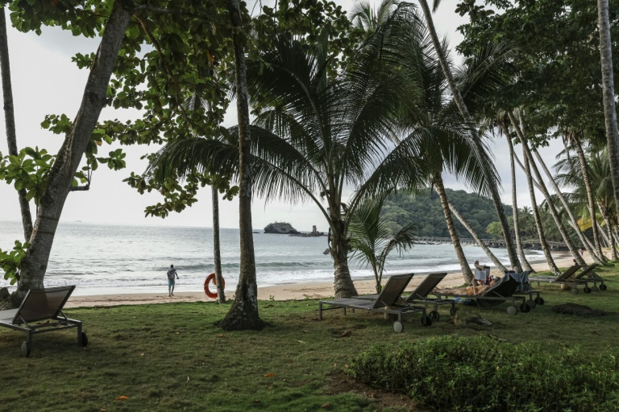 Principe is a mountainous volcanic island, bordered by pristine beaches and whose tropical forest is home to a wealth of endemic species