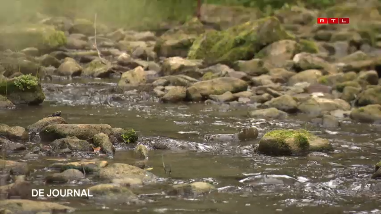 Drinking water reserves remain stable