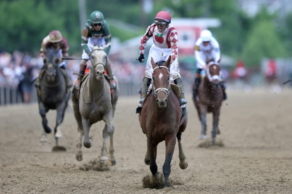 Jockey Umberto Rispoli celebrates on Journalism after his victory in the Preakness Stakes at Pimlico in Baltimore, Maryland