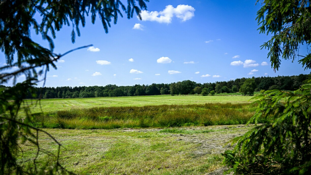 D'Wiss, an där d'Läich e Méindeg fonnt gouf.