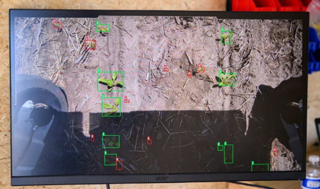 Aigen was chosen for Amazon Web Services' 'Compute for Climate' fellowship program that provides AI tools, data center power, and technical help for startups tackling environmental woes