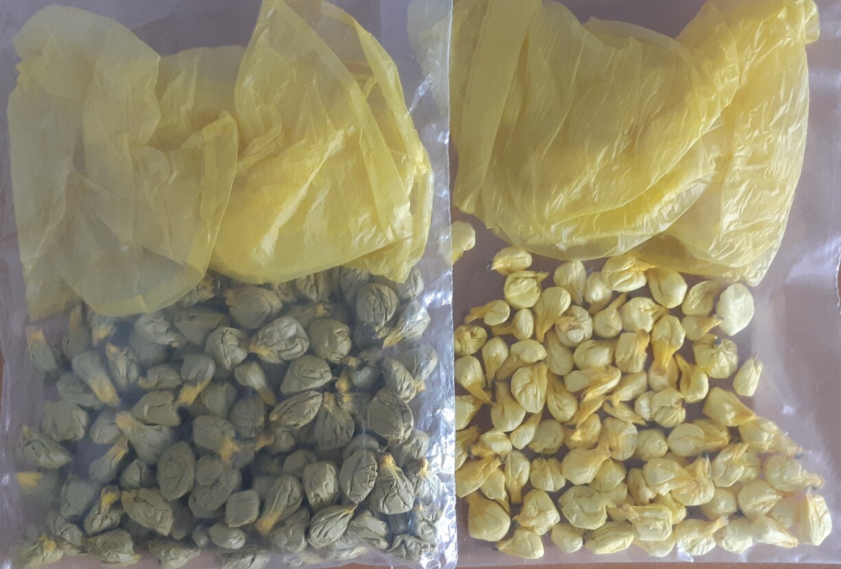 Les boules retrouvées sur le dealer à Luxembourg le 27 septembre 2021