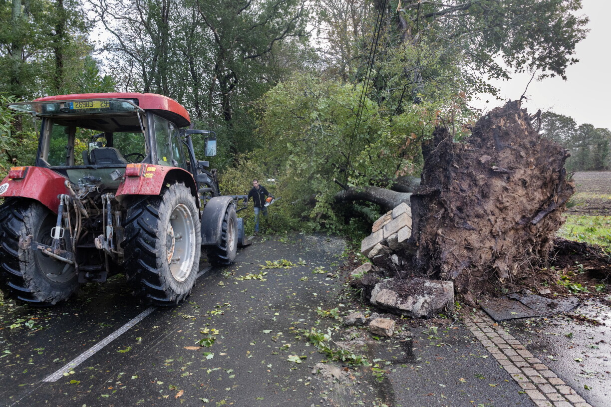 A man cuts branches from a fallen tree in Plomeur, western France, on October 23, 2026 as Storm Austen hits the coasts of France. (Photo by Fred TANNEAU / AFP)