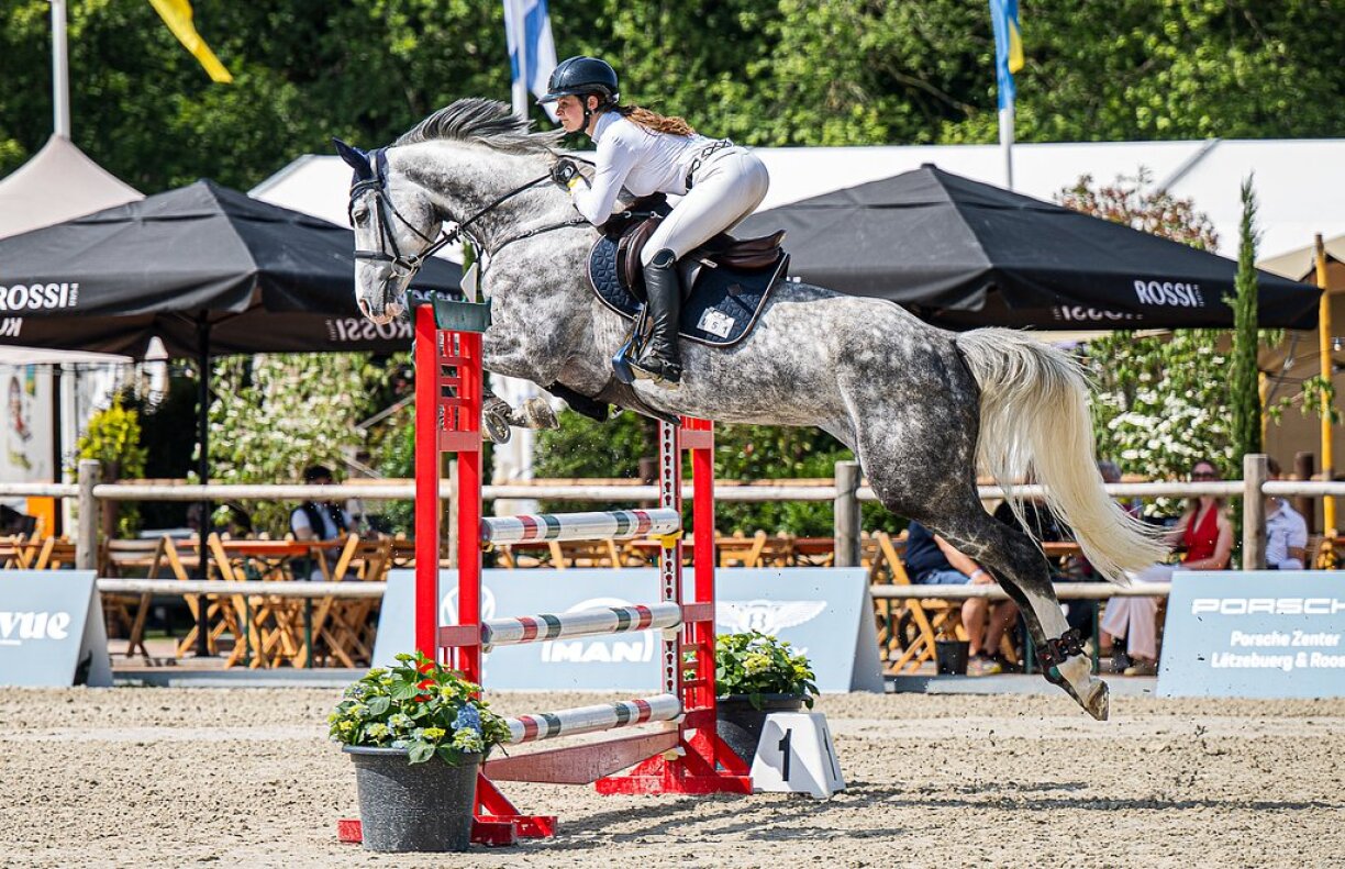 Zu Réiser wäerten dëst Joer keng Päerdsdeeg sinn