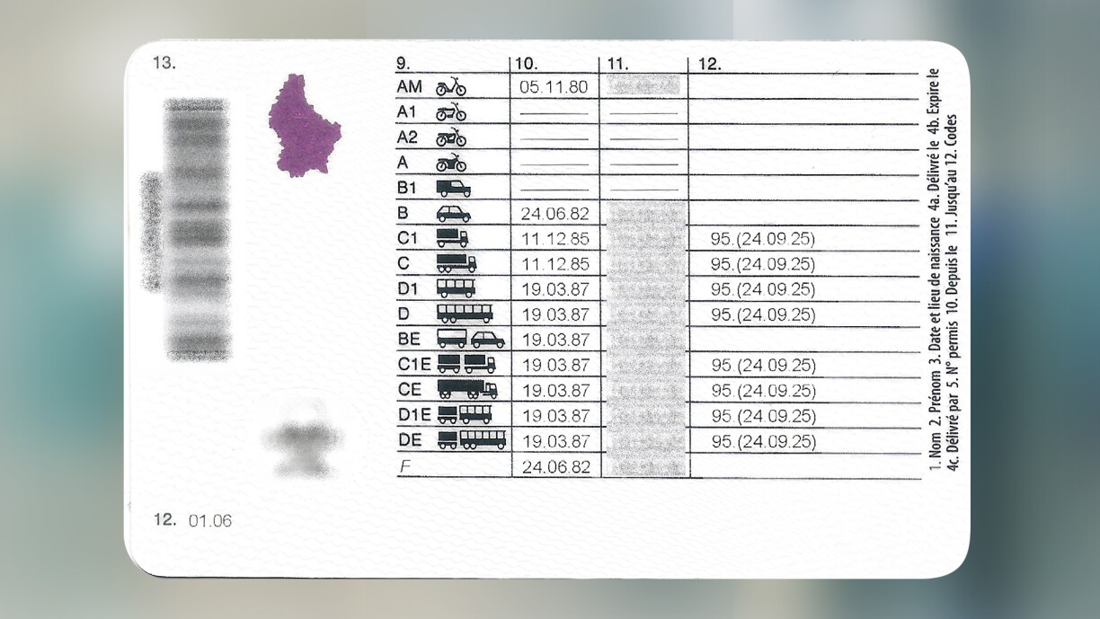Beispill vun der Récksäit vun engem Fürerschäin vun enger Persoun, déi déi verschiddenst Permise gemaach huet.