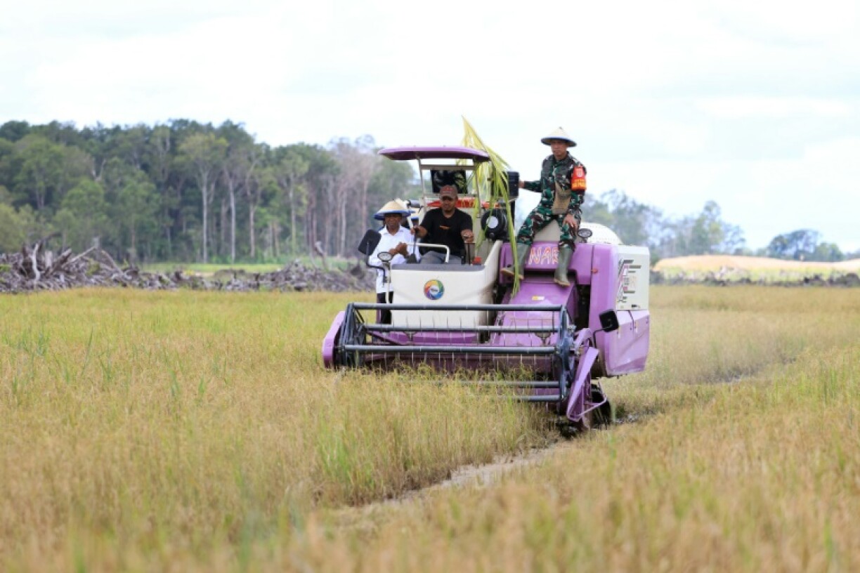Officials on a combine harvester during the first rice harvest at Kaliki Village in Merauke, attended government officials, military officers and villagers