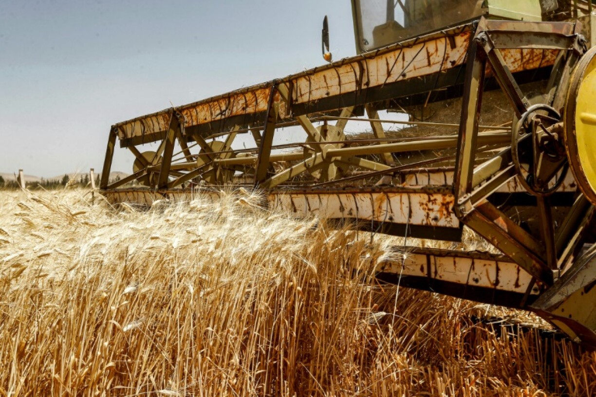 Une moissonneuse-batteuse