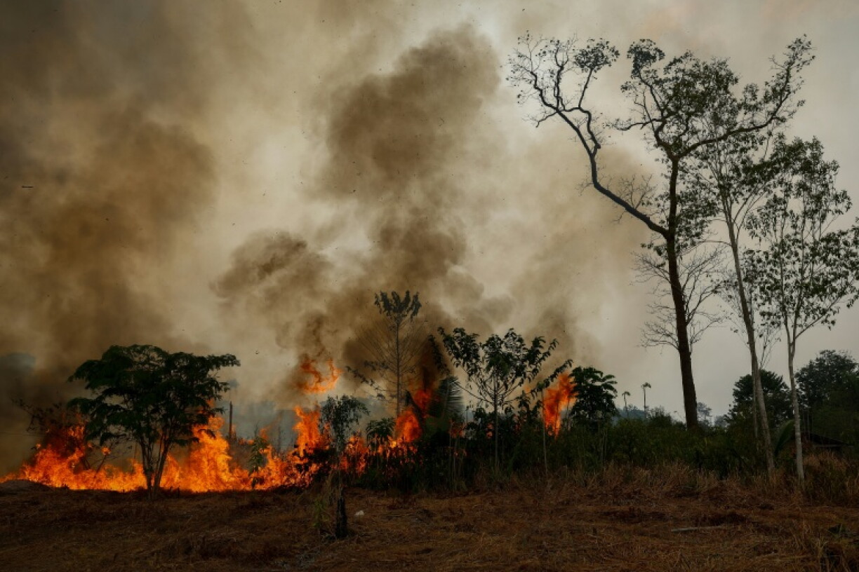 A forest fire Brzail's Amazonas state, which recorded nearly four times more fire hotspots this September than the year before