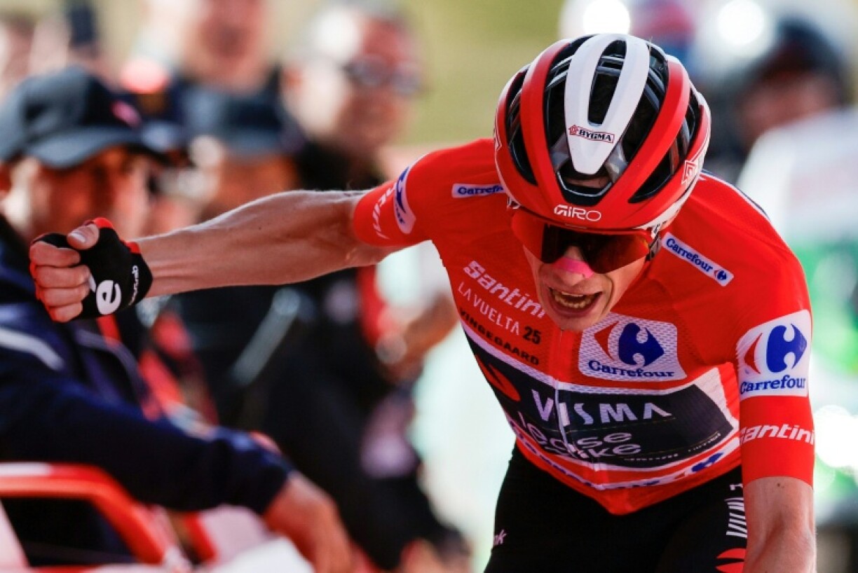 Jonas Vingegaard has been as measured as he was imperious, taking three stage wins along the way to a comfortable victory