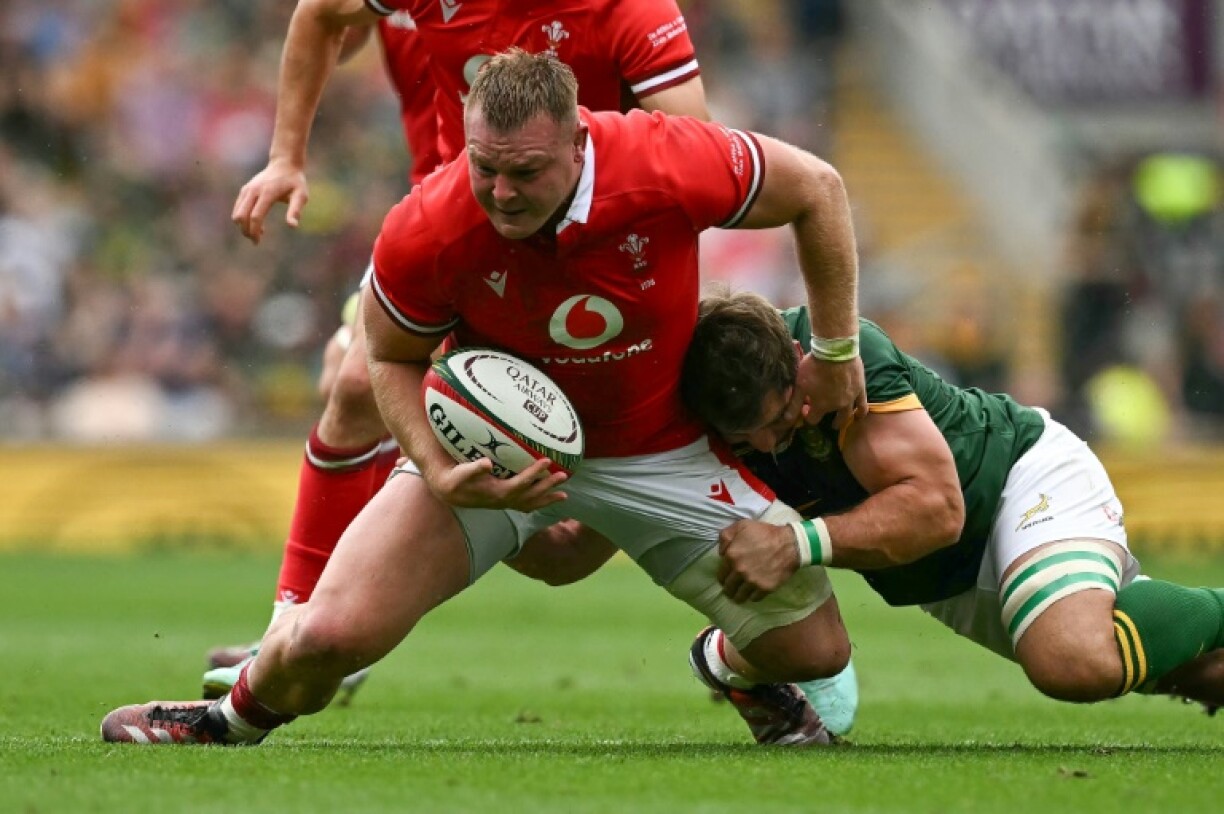 Wales hooker Dewi Lake in action against South Africa