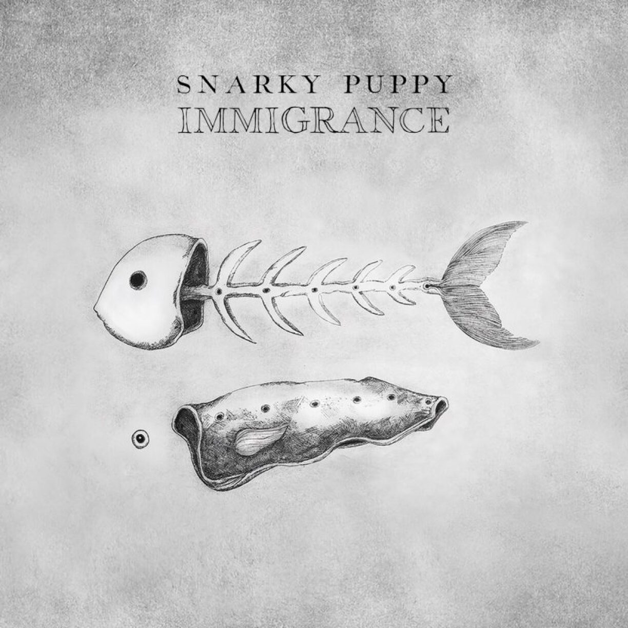 Snarky Puppy's latest studio album Immigrance.
